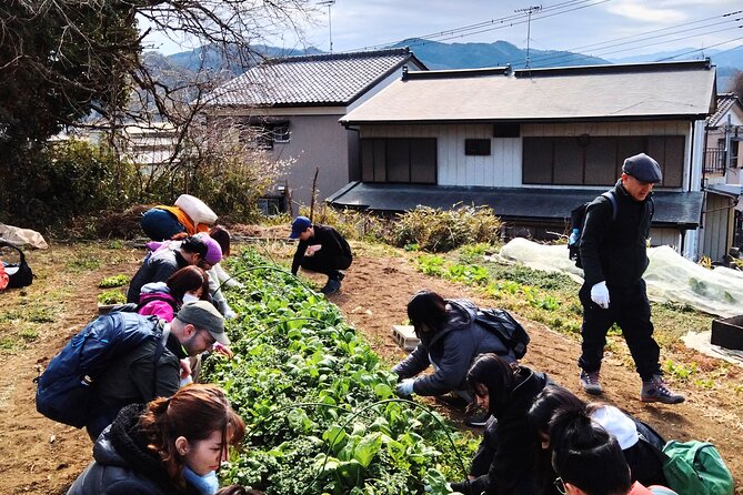 Near Tokyo: Organic Farming Experience With Forest Hiking - Meeting Information