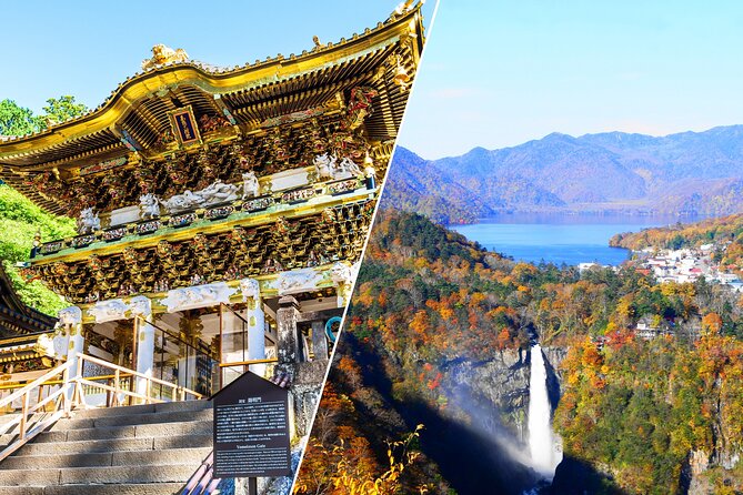 Nikko Private Half Day Tour: English Speaking Driver, No Guide - Mikan Orange Picking Experience