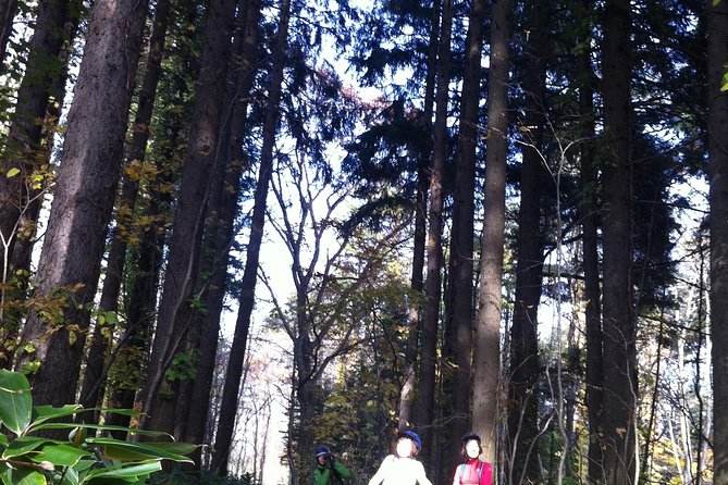 Nopporo Forest Mountain Bike Tour From Sapporo, Presenting a Retro Cycle Cap - Requirements