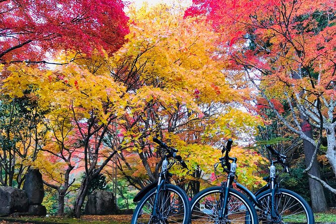 Oasa Country Cycling (Easy Access From Hiroshima 1 Hr Scenic Bus) - Reviews