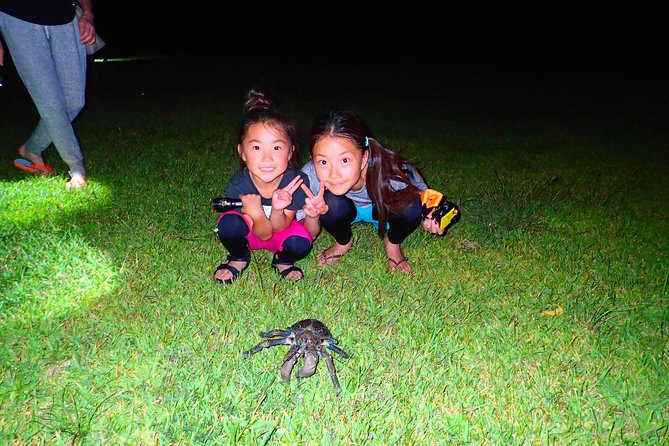 [Okinawa Iriomote] Night Adventure Tour - Inclusions and Pickup Details