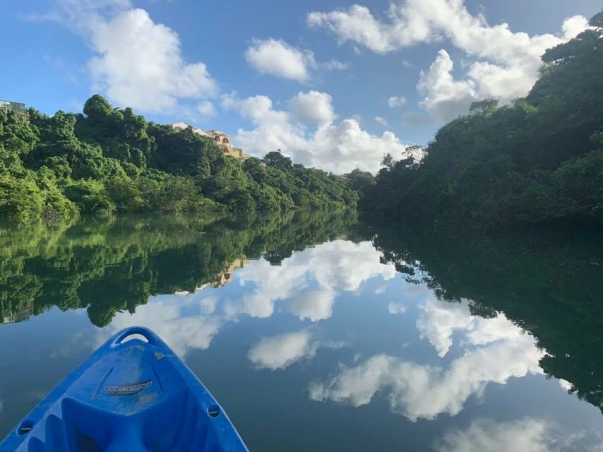 Okinawa: Mangrove Kayaking Tour - Pricing and Duration