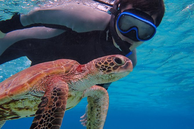 [Okinawa Miyako] [1 Day] Pumpkin Limestone Caving & Sea Turtle Snorkeling - Meeting & Pickup