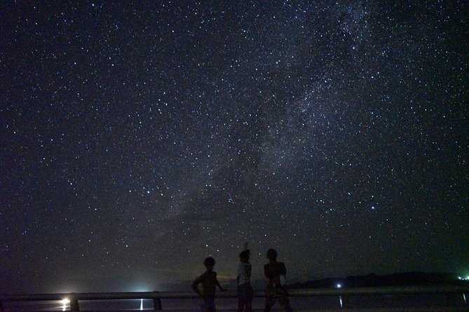 [Okinawa Miyako] Natural Planetarium! Starry Sky & Subtropical Jungle Night Tour - Reviews