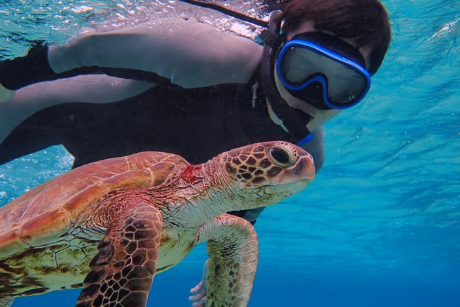 [Okinawa Miyako] SUP / Canoe + Sea Turtle Snorkeling !! (Half-Day Course) - Location Details