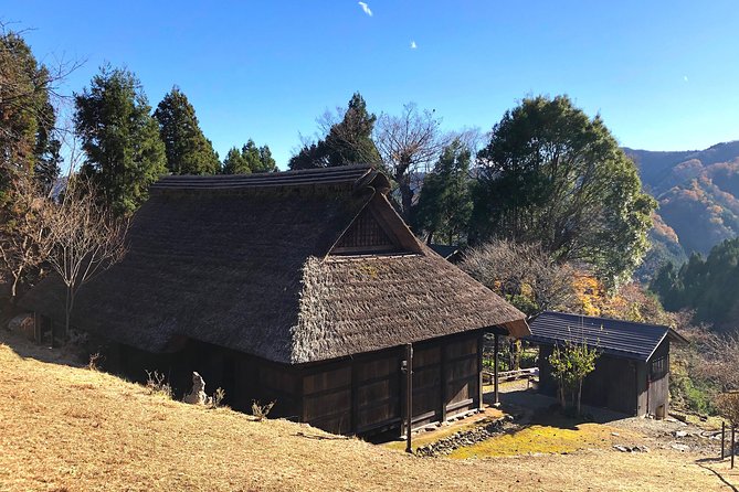 One Day Tour of Tokyos Plentiful Nature in Hinohara Village - Hinohara Village Location