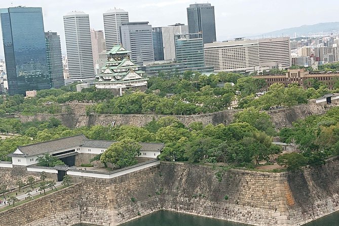 Osaka Castle & Dotonbori Lively One Day Tour - Inclusions and Group Size