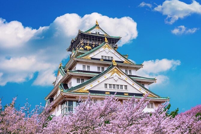 Osaka Cherry Blossom Tour With a Local: 100% Personalized Private - Inclusions in the Package