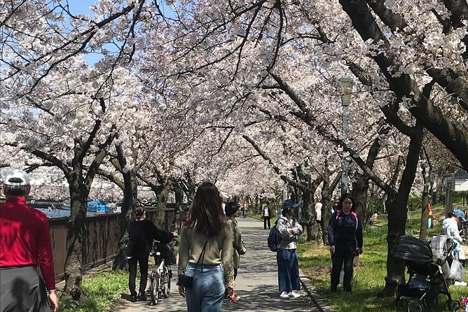 Osaka Cherry Blossom Walk With Local - Booking and Cancellation