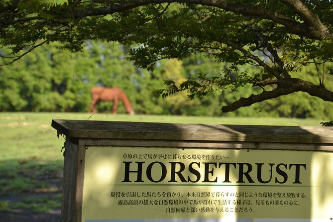 Pasture Hike With Horse Whisperer at Horse Trust in Kagoshima - Inclusions and Meeting Point