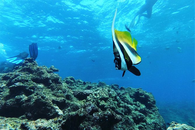 Popular Blue Cave Snorkel! [Okinawa Prefecture] Feeding & Photo Image Free! English, Chinese Guide Available! - Additional Information