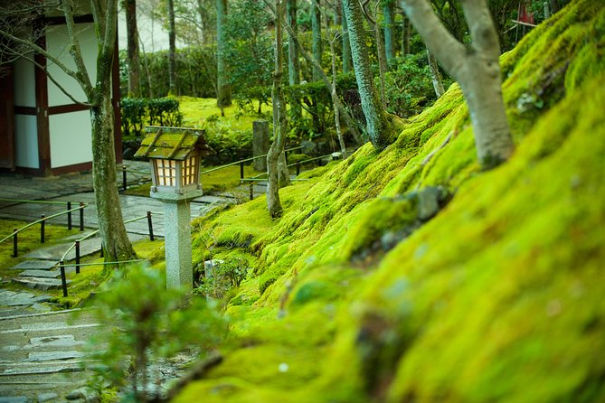 Private 3-hour Kyoto Arashiyama Rickshaw Tour - Meeting Point Details