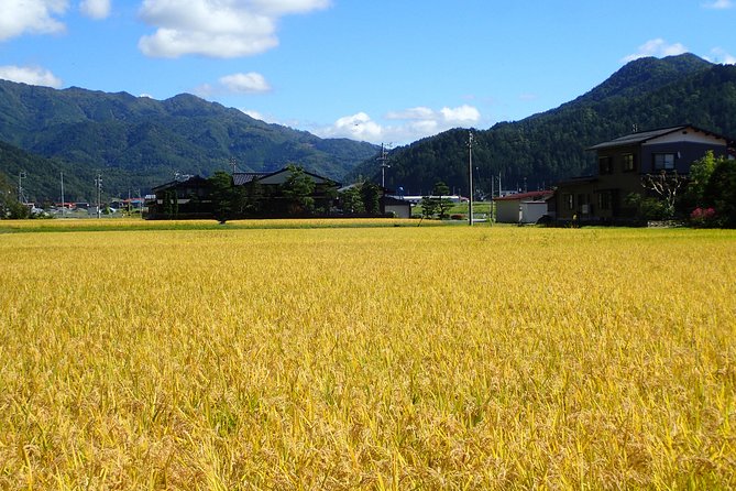 Private Afternoon Cycling Tour in Hida-Furukawa - Cycling Route Highlights