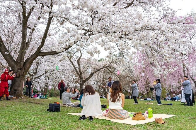 Private and Unique Fukuoka Cherry Blossom Sakura Experience - Meeting Point and End Point