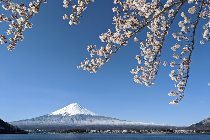 Private Car Tour to Mt. Fuji Lake Kawaguchiko or Hakone Lake Ashi - Pickup and Accessibility