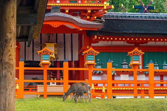 Private Customized 3 Full Days Tour Package: Discover Kyoto, Arashiyama and Nara - Itinerary Details