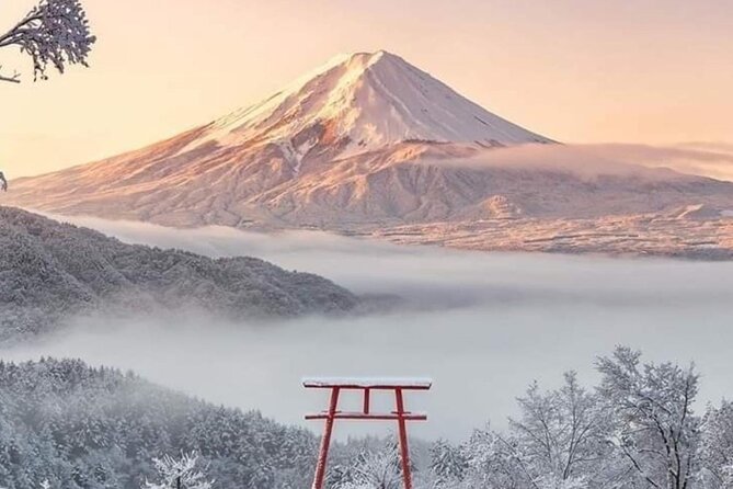 Private Day Tour in Mount Fuji From Tokyo - Pickup and Drop-off Details