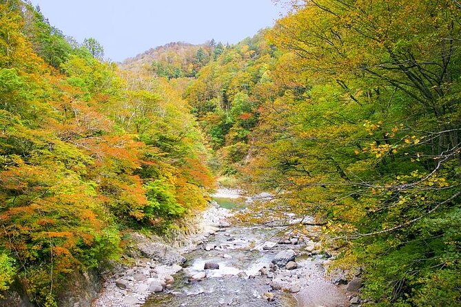 Private Karuizawa, Nagano Tour - Bilingual Chauffeur - Included Services