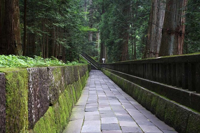 Private Morning Hike Around Nikko Toshogu Shrine - Wildlife and Nature Encounters