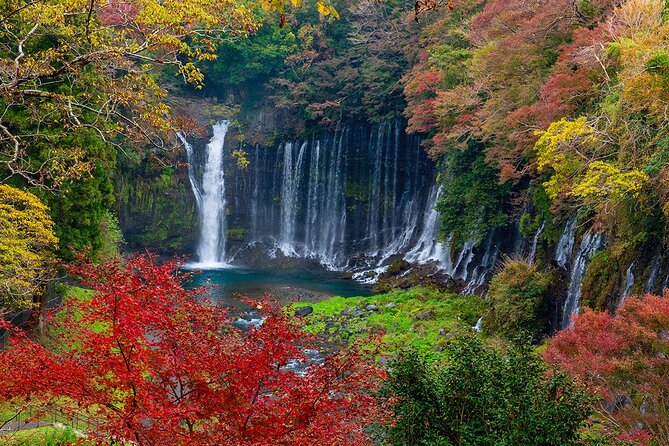 Private Mount Fuji and Hakone City Tour From Tokyo - Customer Reviews