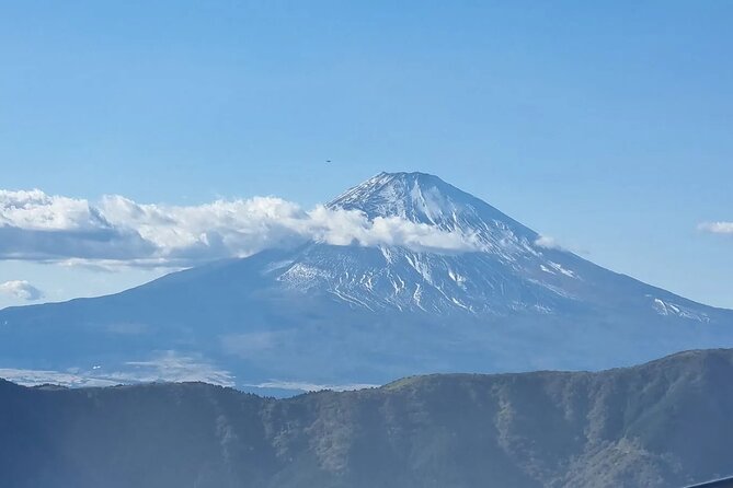 Private Mt Fuji and Hakone Day Tour From Tokyo - What To Expect