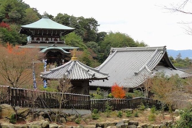 Private Sandankyo Valley Tour From Hiroshima With a Local Guide - Local Guide Experience