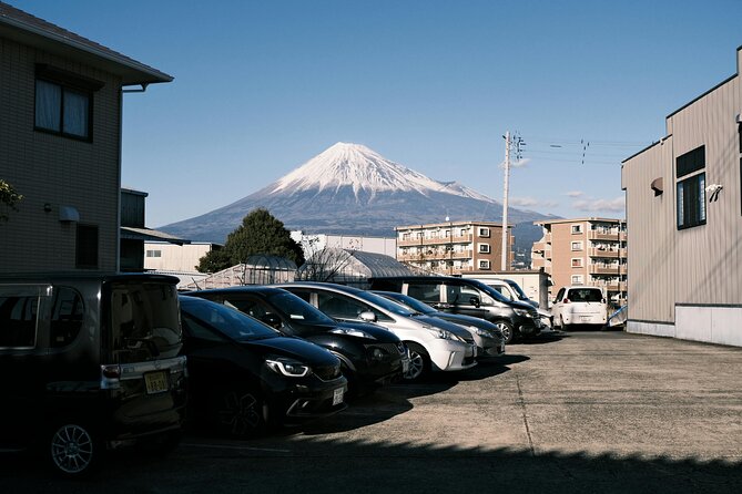 Private Sightseeing Tour to Mt Fuji and Hakone Guide - Pickup Details