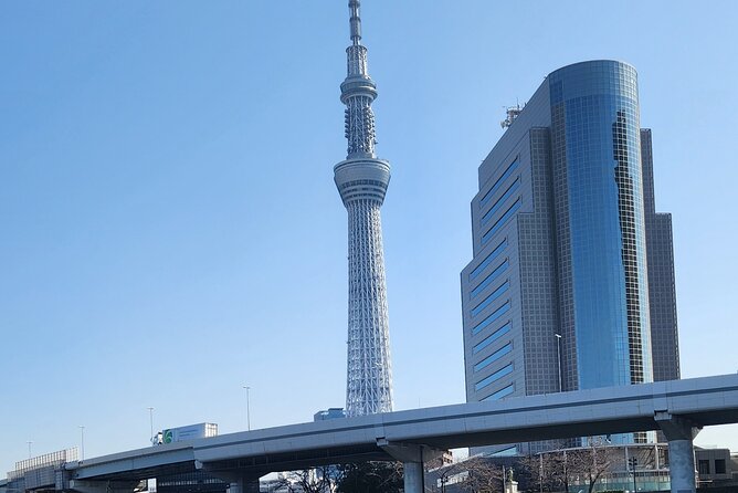 Private Tokyo City Day Tour With English Speaking Driver - Skytree Tower Options