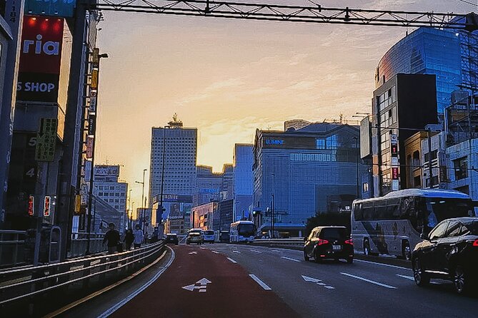 Private Tokyo Shinjuku Bus Tour With Licensed Guide - End Point and Start Time