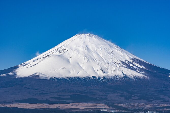 Private Tour to Mt Fuji, Lake Kawaguchi With Limousine and Driver - Booking Process