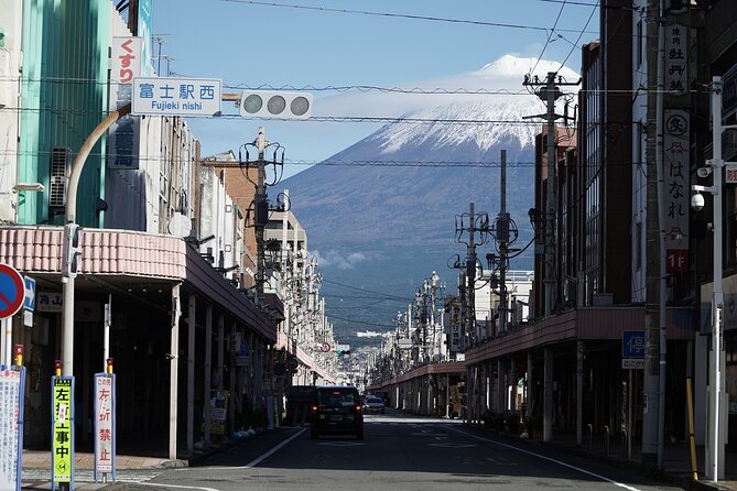 Private Transport Mt Fuji and Hakone 1 Day Trip - Customer Reviews