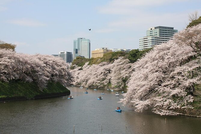 Private & Unique Tokyo Cherry Blossom Sakura Experience - Meeting and Pickup Details