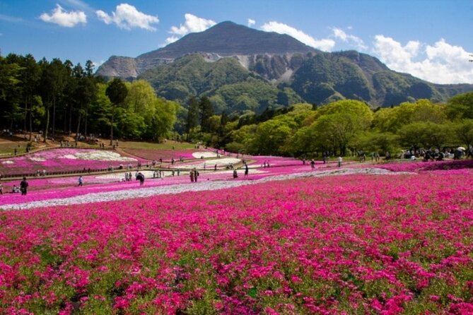 Private Walking Tour With Sake Brewery Visit in Chichibu - Tour Inclusions