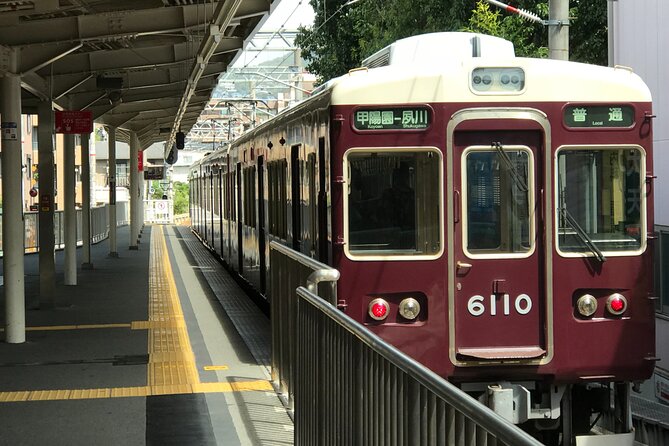 Real-Life Anime Location Visiting in Osaka Private Guided Tour - Meeting Point