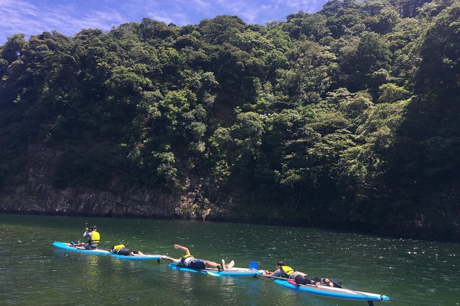 [Recommended on Arrival Date or Before Leaving! ] Relaxing and Relaxing Water Walk Awakawa River SUP [Half-Day Tour] - Recommendation