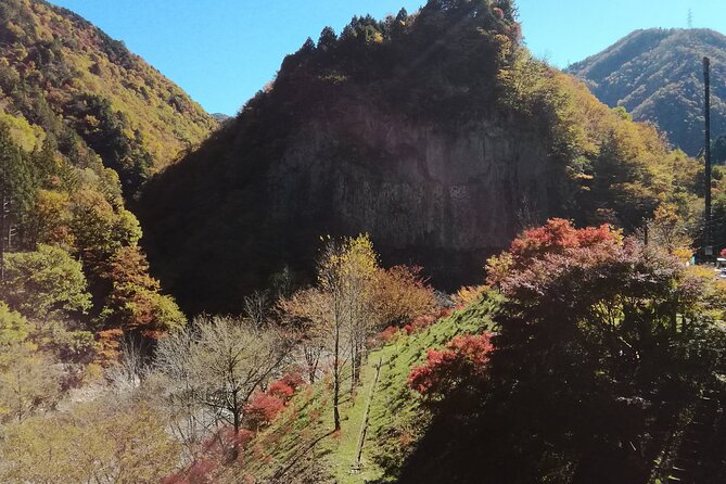 Rivers Run Through Hida and Osakacho E-Bike Tour - Tour Details