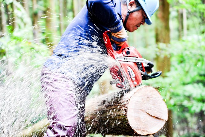 Rural Forestry Tour in Aso Minamioguni - Inclusions in the Tour Package