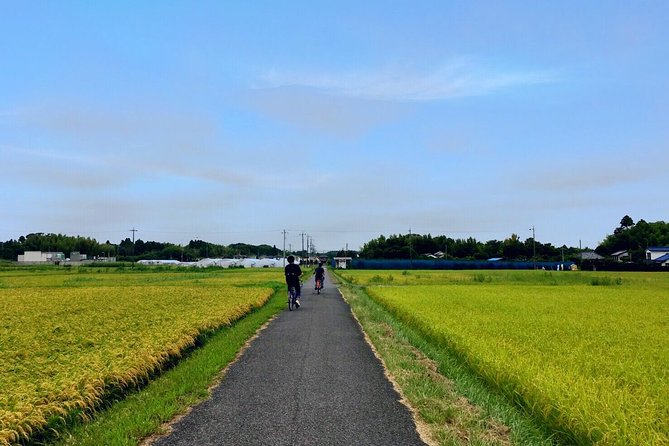 Rural Japan Cycling Tour to the Rich Nature Area in Ichinomiya - Inclusions and Meeting Point