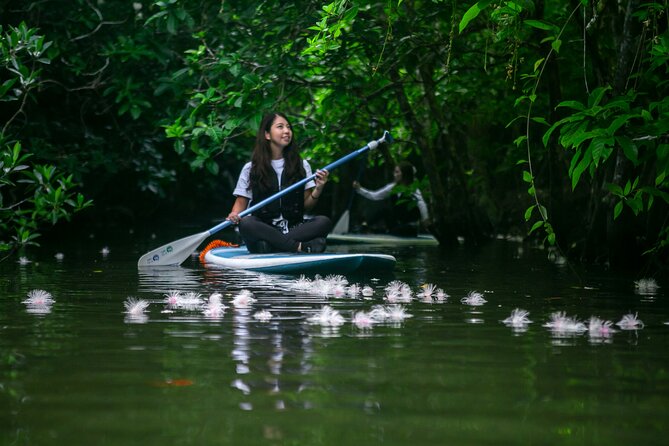 Sagaribana SUP / Canoe Tour Early in the Morning (Limited From June to August) - Inclusions and Meeting Details