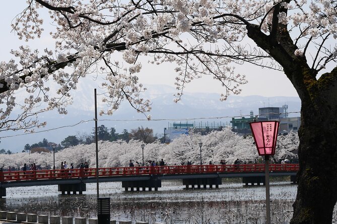 Sakura Park and Old Town Private Tour - Inclusions and Experience