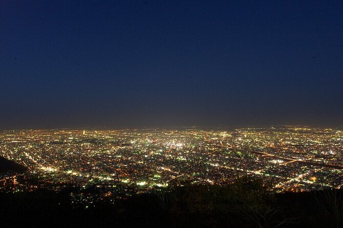 Sapporo Mt. Moiwa & Asahiyama Memorial Park Night View Trip - Excluded Expenses