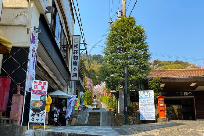 Scenic View of Amanohashidate and Ine Village From Osaka - Directions