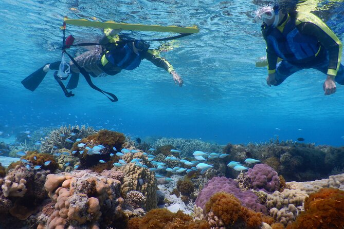 Sea Turtle Snorkel at Kerama Islands and Zamami Island - Pickup and Meeting Points