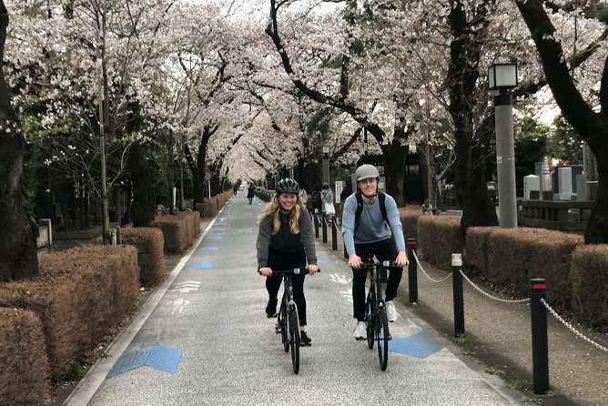 Shibuya Cycling Cruise - Weather Considerations