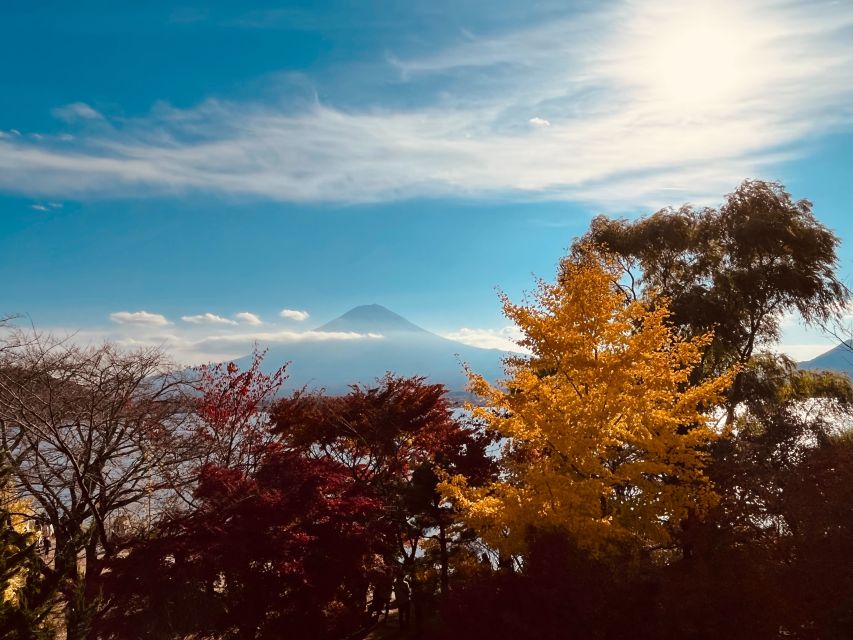 Shinjuku: Mount Fuji Panoramic View and Shopping Day Tour - Highlights