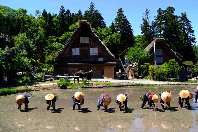 Shirakawa-Go From Nagoya One Day Bus Self-Guided Tour - Meeting and Pickup Details