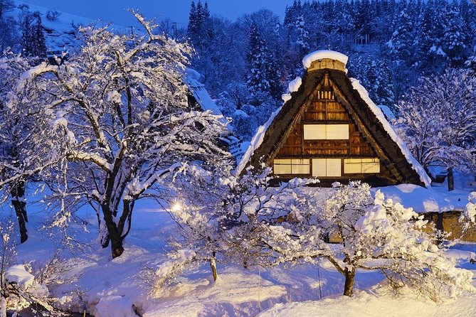 Shirakawago All Must-Sees Private Chauffeur Tour With a Driver (Takayama Dep.) - Customizable Itinerary