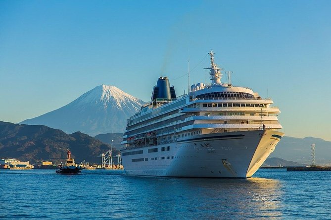 Sightseeing Around Shimizu Port for Cruise Ship Passengers - Reviews Overview