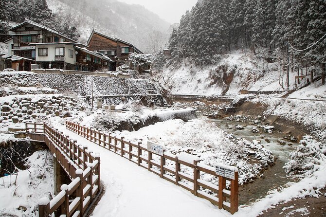 Snow Monkey, Zenko Ji Temple, Sake in Nagano Tour - Tour Inclusions