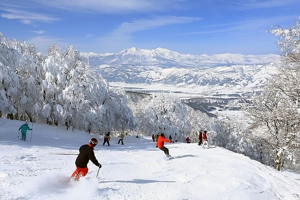 Snow Monkey & ZinkoJi With Sake Tasting Private Tour - Activity Features